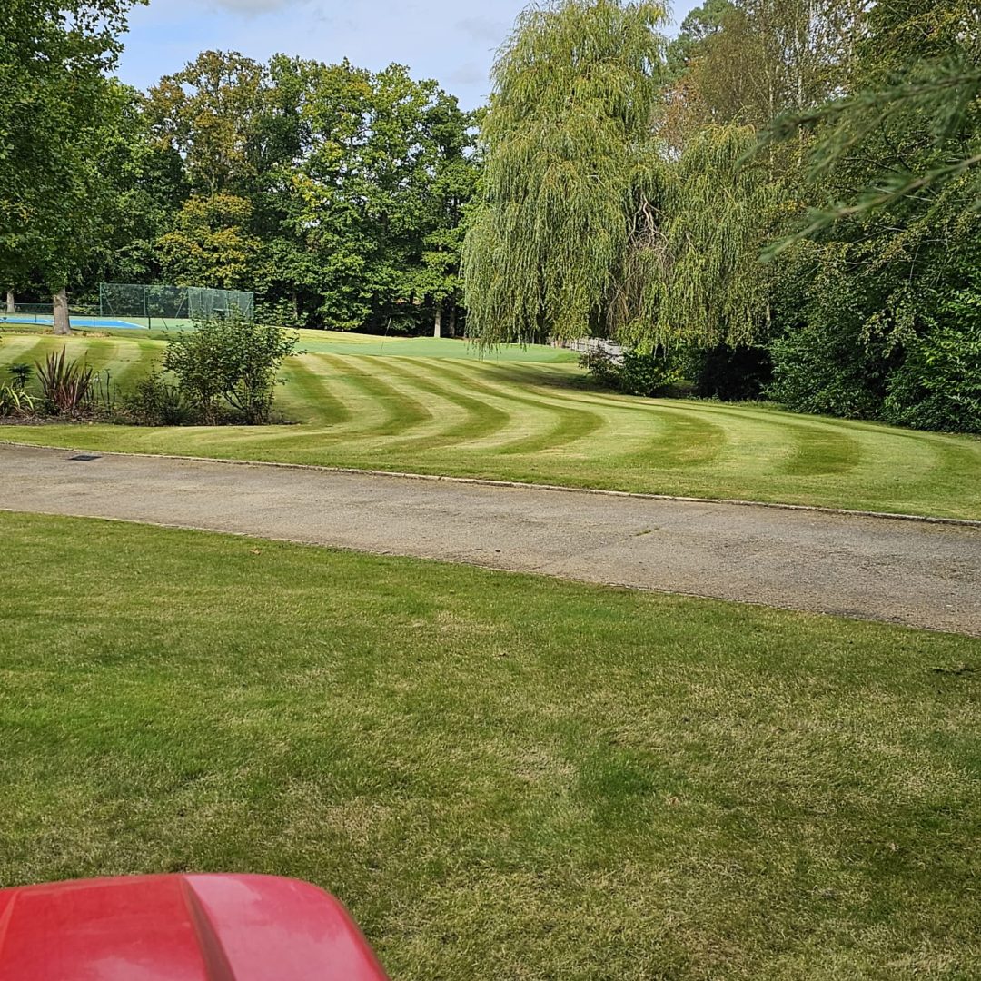 WhatsApp Image 2026-02-21 at 12.18.08 AM (1)