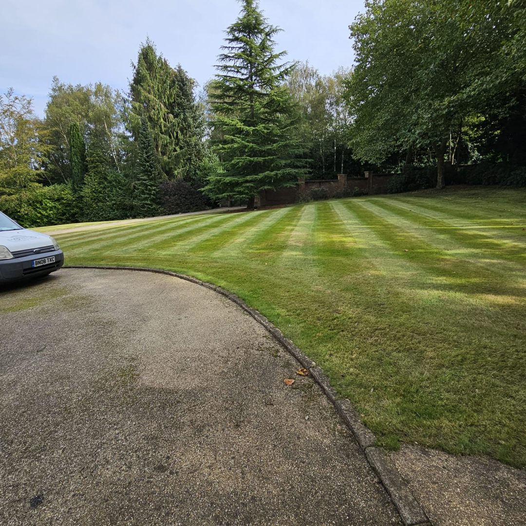 WhatsApp Image 2026-02-21 at 12.18.08 AM