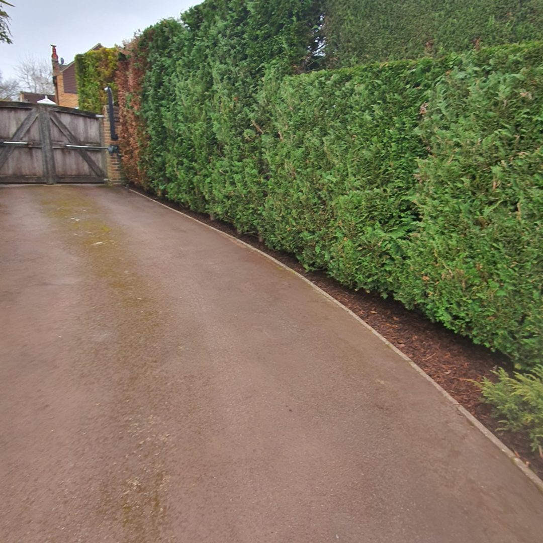 WhatsApp Image 2026-02-21 at 12.18.10 AM (1)