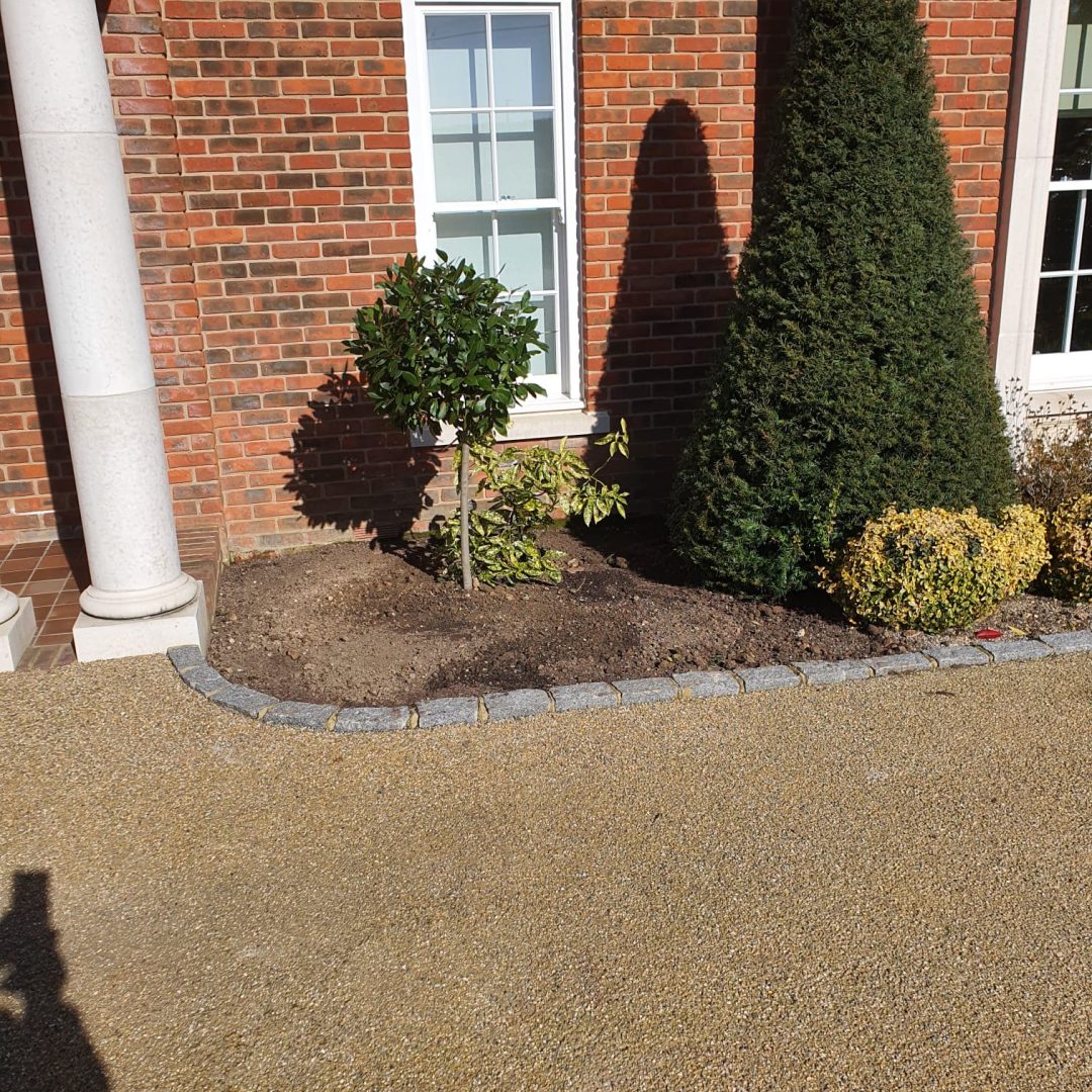 WhatsApp Image 2026-02-21 at 12.18.10 AM