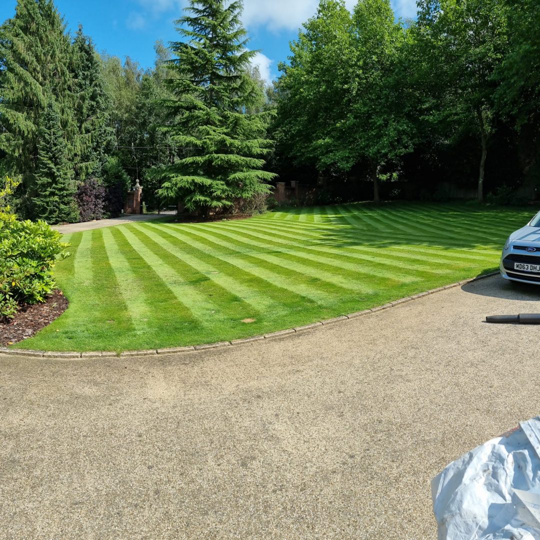 WhatsApp Image 2026-02-21 at 12.18.11 AM (1)