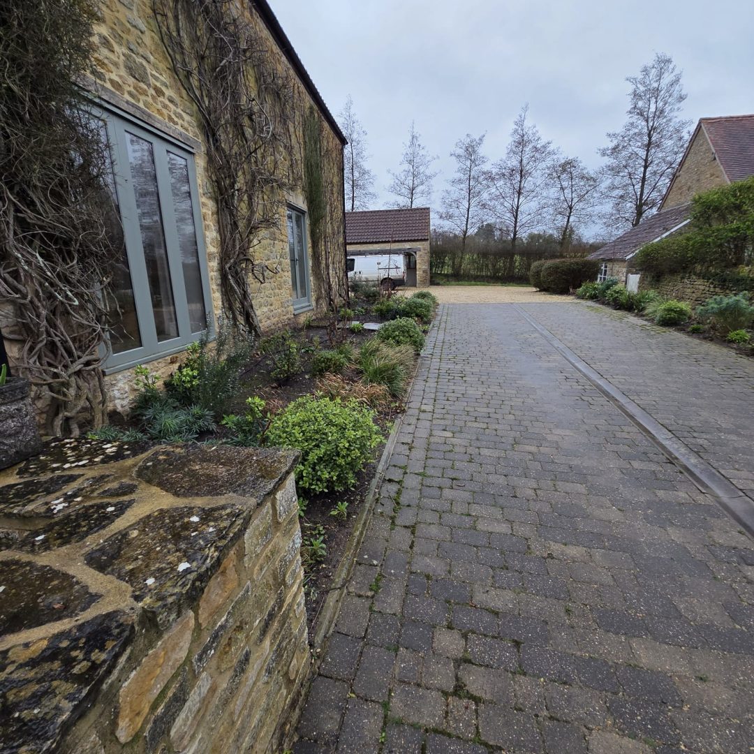 WhatsApp Image 2026-02-21 at 12.42.07 AM (1)