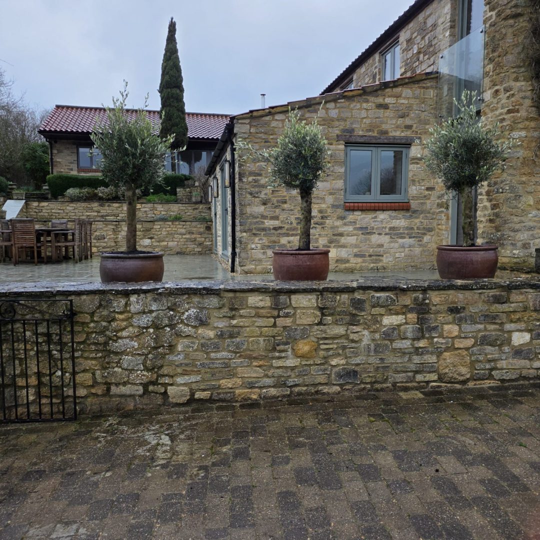 WhatsApp Image 2026-02-21 at 12.42.08 AM