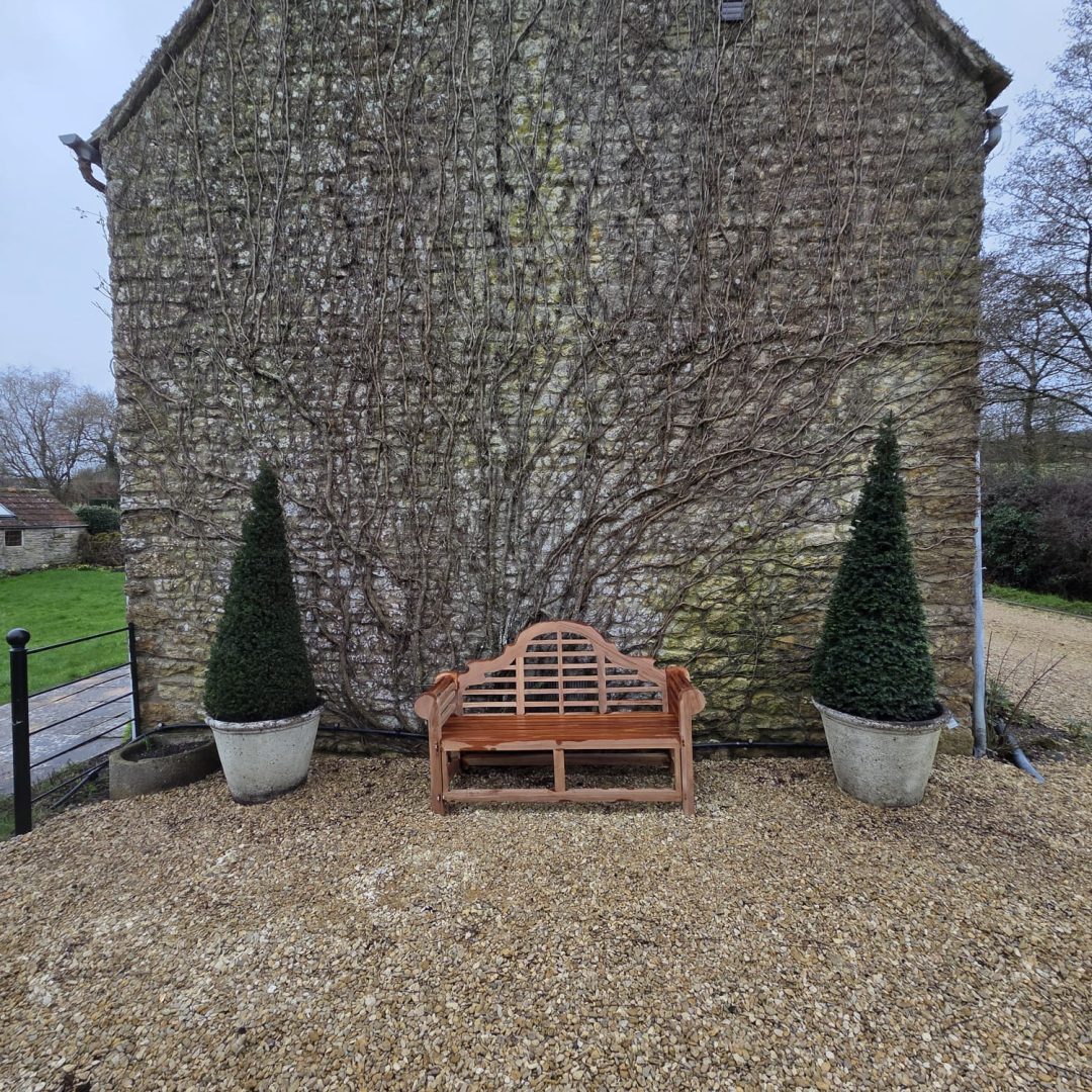 WhatsApp Image 2026-02-21 at 12.42.12 AM