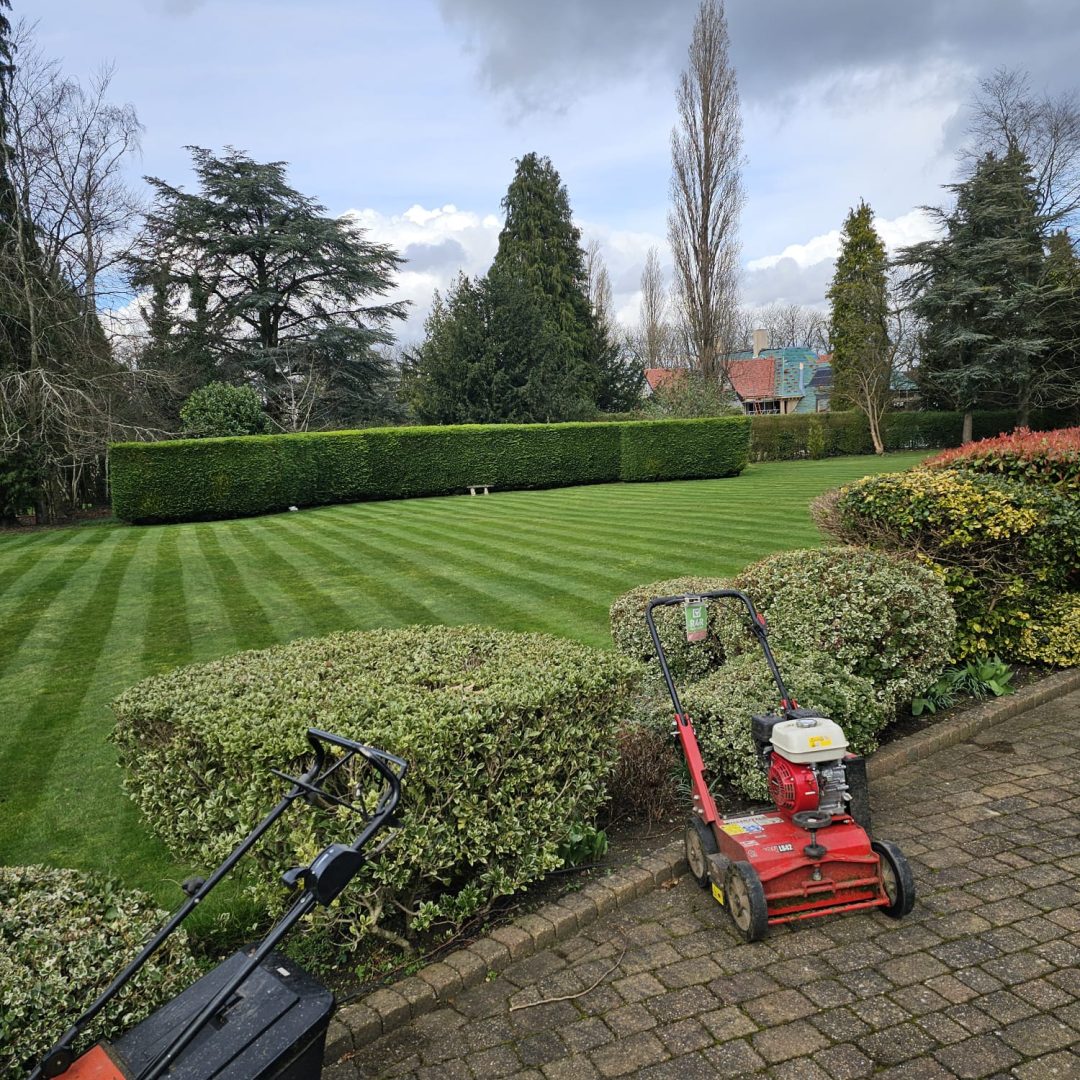 WhatsApp Image 2026-02-21 at 12.42.34 AM (2)