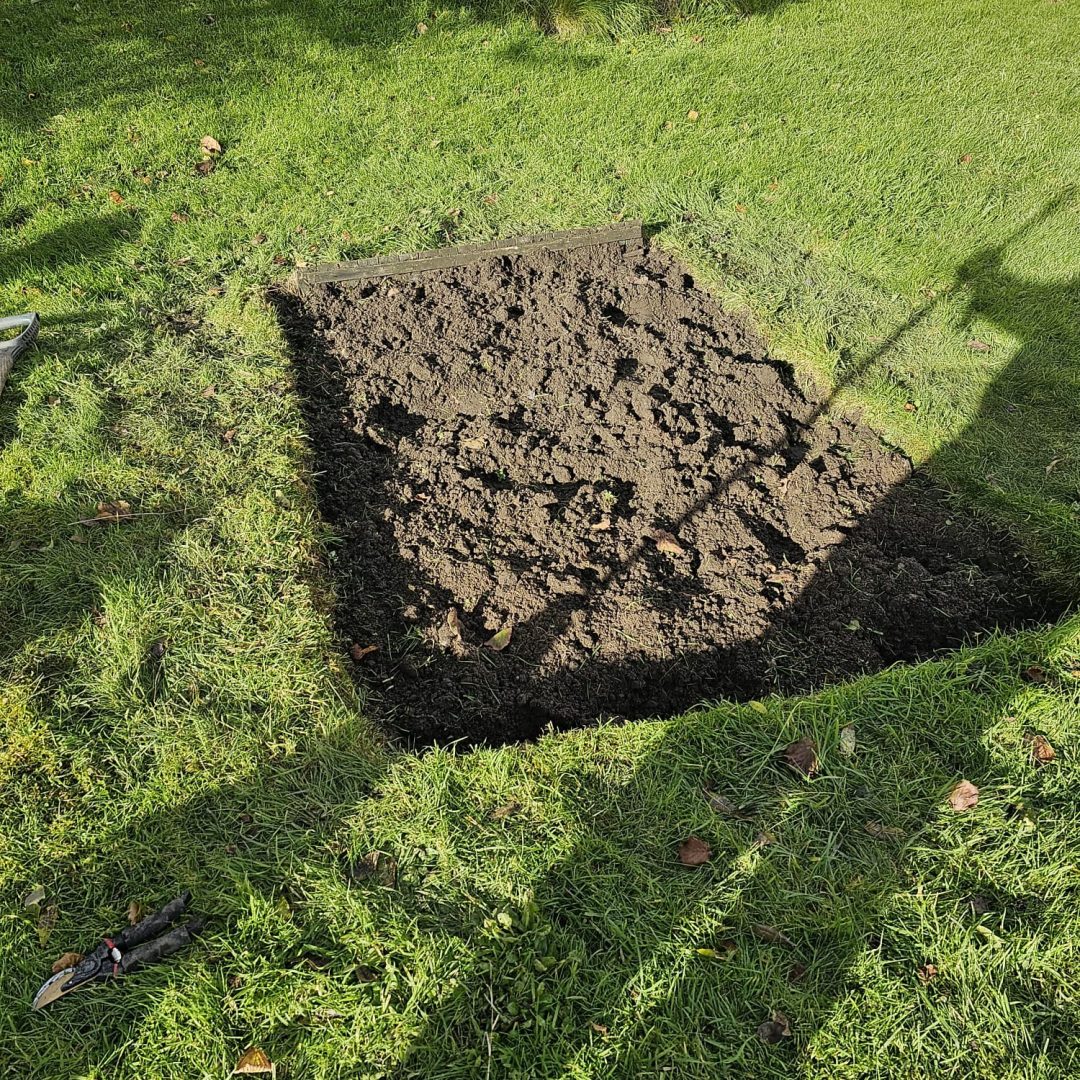 WhatsApp Image 2026-02-21 at 12.42.34 AM (3)